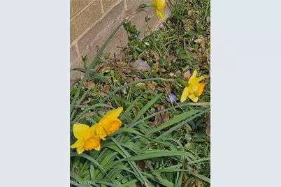 5933 Decker Road, North Olmsted, OH 44070 - Photo 45