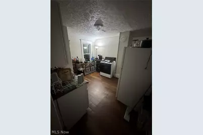 1427 E 51st Street, Loveland, OH 44103 - Photo 9