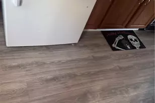 12301 Carrington Ave, Loveland, OH 44135 - Photo 9