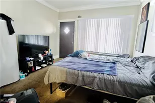 11224 Parkview Ave, Loveland, OH 44104 - Photo 11