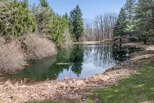 3474 Hamilton Rd, Medina, OH 44256 - Photo 37