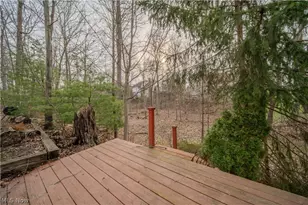 185 Beaumont Trail, Aurora, OH 44202 - Photo 41