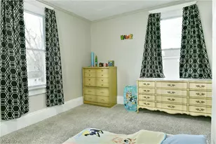 163 N Chestnut Ave, Niles, OH 44446 - Photo 29