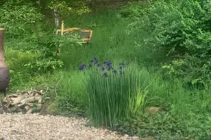 257 Windward Dr, Elyria, OH 44035 - Photo 49