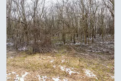 0 Raiders Road, Dresden, OH 43821 - Photo 5