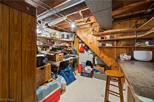 1808 W 42nd St, Lorain, OH 44053 - Photo 33