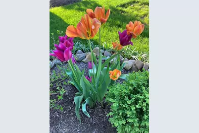 2080 Hawthorn Court, Green, OH 44720 - Photo 43