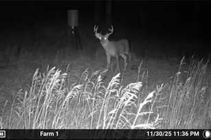 31785 Piedmont-Freeport Rd, Freeport, OH 43973 - Photo 47