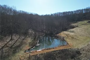 31785 Piedmont-Freeport Rd, Freeport, OH 43973 - Photo 7