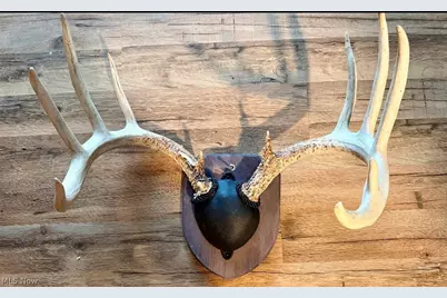 31785 Piedmont-Freeport Road, Freeport, OH 43973 - Photo 49