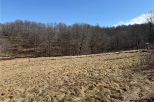 31785 Piedmont-Freeport Rd, Freeport, OH 43973 - Photo 17