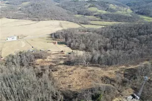 31785 Piedmont-Freeport Rd, Freeport, OH 43973 - Photo 11