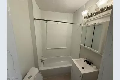 1028 E 146th Street, Loveland, OH 44110 - Photo 9
