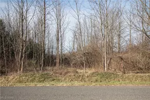 9608 Norwalk Rd, Litchfield, OH 44253 - Photo 45