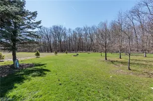 7310 Wolff Rd, Medina, OH 44256 - Photo 41