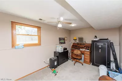 7310 Wolff Road, Medina, OH 44256 - Photo 19