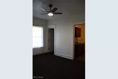 1319 E 66th Street, Loveland, OH 44103 - Photo 37