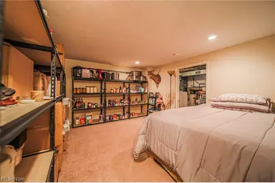 15071 Stanwood Street SW, Dalton, OH 44618 - Photo 39