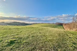 68895 Lloydsville Bannock Rd, Belmont, OH 43718 - Photo 41