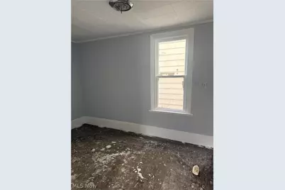 885 E 149th Street, Loveland, OH 44110 - Photo 9