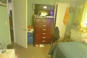 4387 Burkey Rd, Austintown, OH 44515 - Photo 7