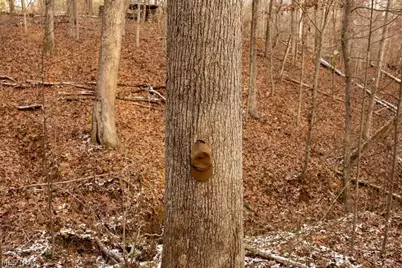 0 Holbrook Road, Beaver, OH 45613 - Photo 7