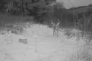 17116 Co Rd 298, Coshocton, OH 43812 - Photo 37