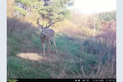 17116 County Road 298, Coshocton, OH 43812 - Photo 43