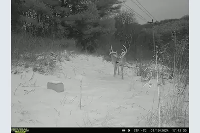 17116 County Road 298, Coshocton, OH 43812 - Photo 45