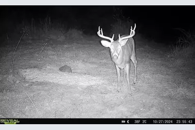 17116 County Road 298, Coshocton, OH 43812 - Photo 39