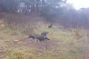 17116 Co Rd 298, Coshocton, OH 43812 - Photo 43