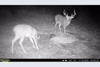 17116 County Road 298, Coshocton, OH 43812 - Photo 41