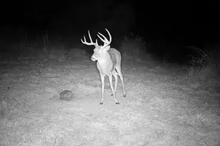 17116 Co Rd 298, Coshocton, OH 43812 - Photo 39