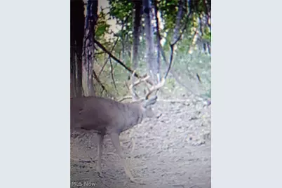 19488 Osborne Road, Salesville, OH 43778 - Photo 19