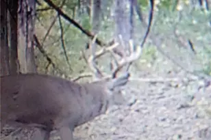 19488 Osborne Rd, Salesville, OH 43778 - Photo 19