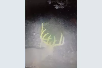 19488 Osborne Road, Salesville, OH 43778 - Photo 21