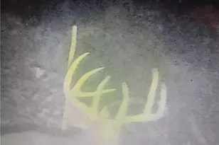 19488 Osborne Rd, Salesville, OH 43778 - Photo 21