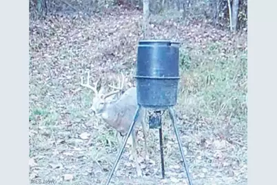 19488 Osborne Road, Salesville, OH 43778 - Photo 13