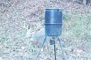 19488 Osborne Rd, Salesville, OH 43778 - Photo 13