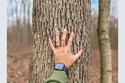 0 Long Fork, Piketon, OH 45661 - Photo 15