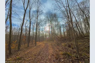 0 Long Fork, Piketon, OH 45661 - Photo 27