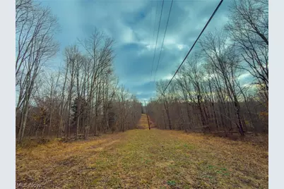 0 Long Fork, Piketon, OH 45661 - Photo 5