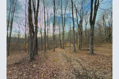 0 Long Fork, Piketon, OH 45661 - Photo 29