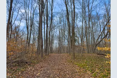0 Long Fork, Piketon, OH 45661 - Photo 19