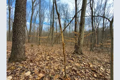 0 Long Fork, Piketon, OH 45661 - Photo 17