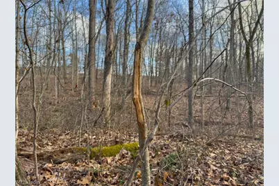 0 Long Fork, Piketon, OH 45661 - Photo 31