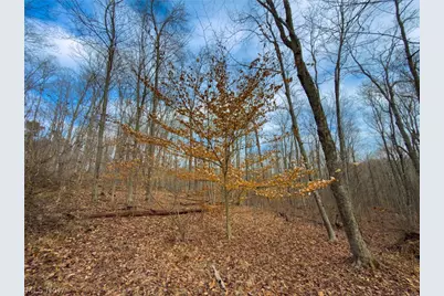 0 Long Fork, Piketon, OH 45661 - Photo 11