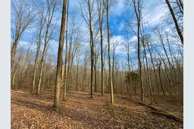 0 Long Fork, Piketon, OH 45661 - Photo 25