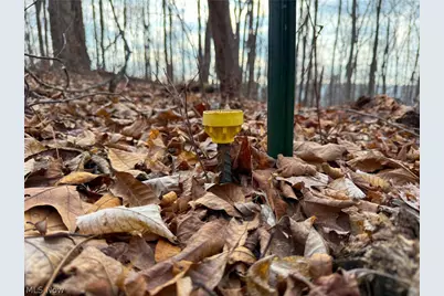 0 Long Fork, Piketon, OH 45661 - Photo 33