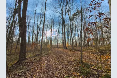 0 Long Fork, Piketon, OH 45661 - Photo 13